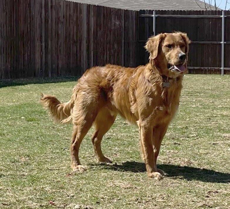 Rory