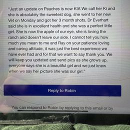 Australian Shepherd Puppies from Mad Ranch