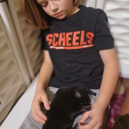 Australian Shepherd Puppies from Summit Australian Shepherds