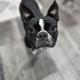 Maybelle