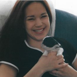 Shih Tzu Puppies from Shih Tzu Dreams Come True