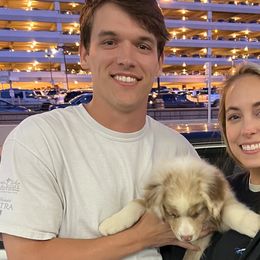 PEANUT - Red merle Australian Shepherd puppy in Sedalia, Missouri from Strollins Farm
