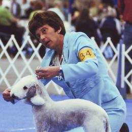 Bedlington Terrier All Grown Up from Elante Bedlingtons