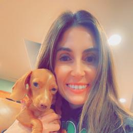 Dachshund Puppies from Ranchy Doxies