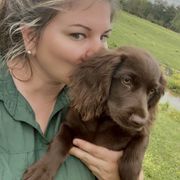 Basset Hound, Boykin Spaniel, Jagdterrier, and Labrador Retriever Puppies from PARK’s Family Farm