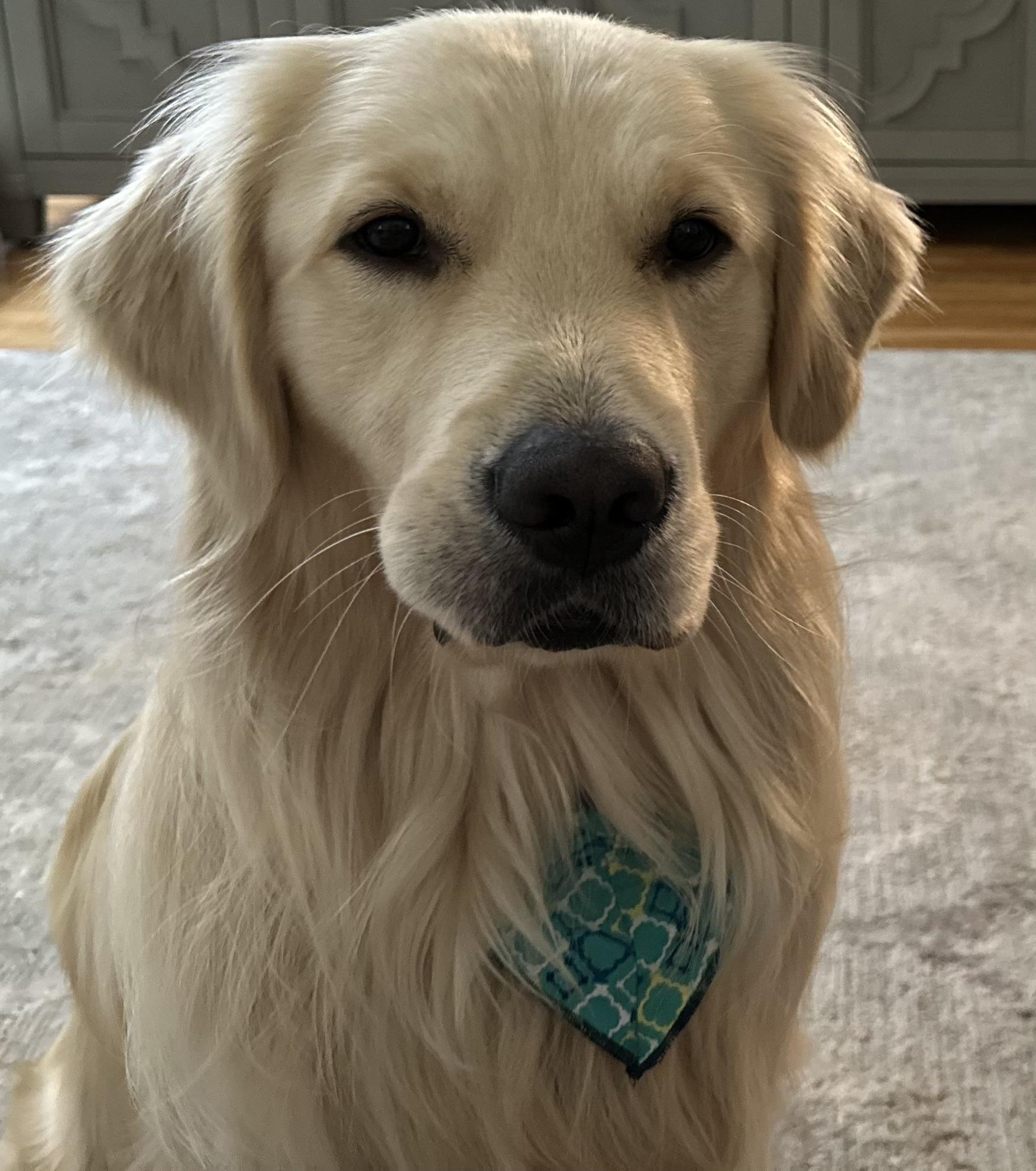 Duke