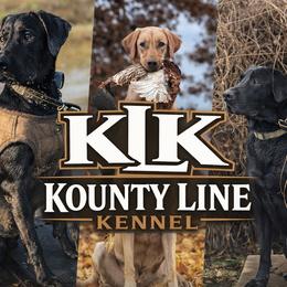 Labrador Retrievers and Poodles from Kounty Line Kennel LLC