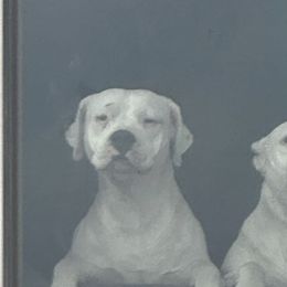 Delta - Dogo Argentino