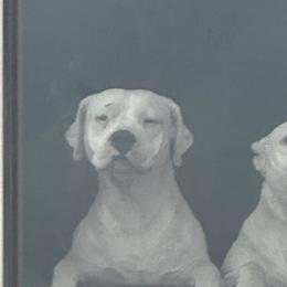 Delta - Dogo Argentino
