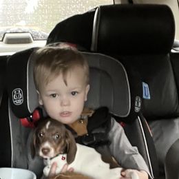 Dachshund Puppies from Jag Fam Dachshunds