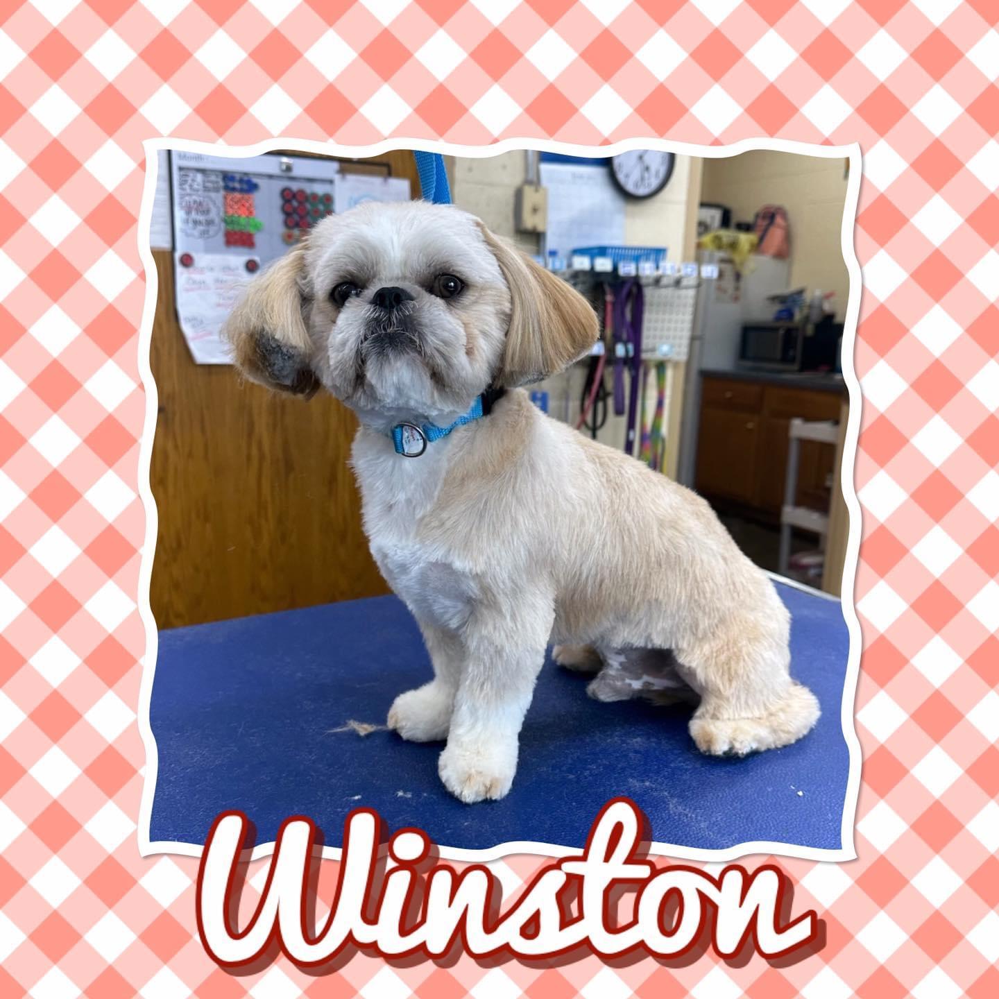 Unnamed