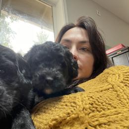 Assorted Doodle Crosses Puppies from Simply Newfiepoo