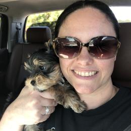 Yorkshire Terrier Puppies from MagnoliaYorkies