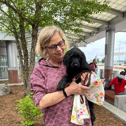 Tova - Green Collar - Black female Labradoodle puppy in Durham, North Carolina from River Home Doodles