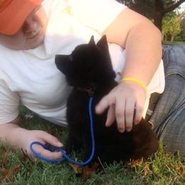 Schipperke All Grown Up from Safari Schipperkes