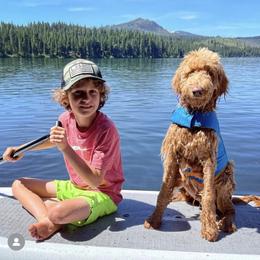Goldendoodle Puppies from Lundee Doodles