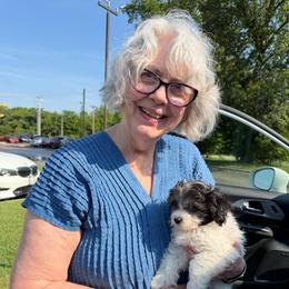 Magnum: Cody - Black & white male Maltipoo puppy in Lawrenceburg, Tennessee from LUV Poodles and Maltipoos