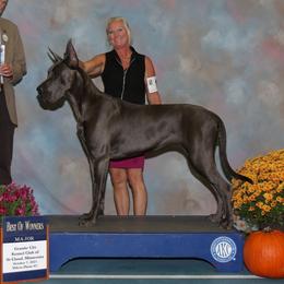 Nikki - Great Dane