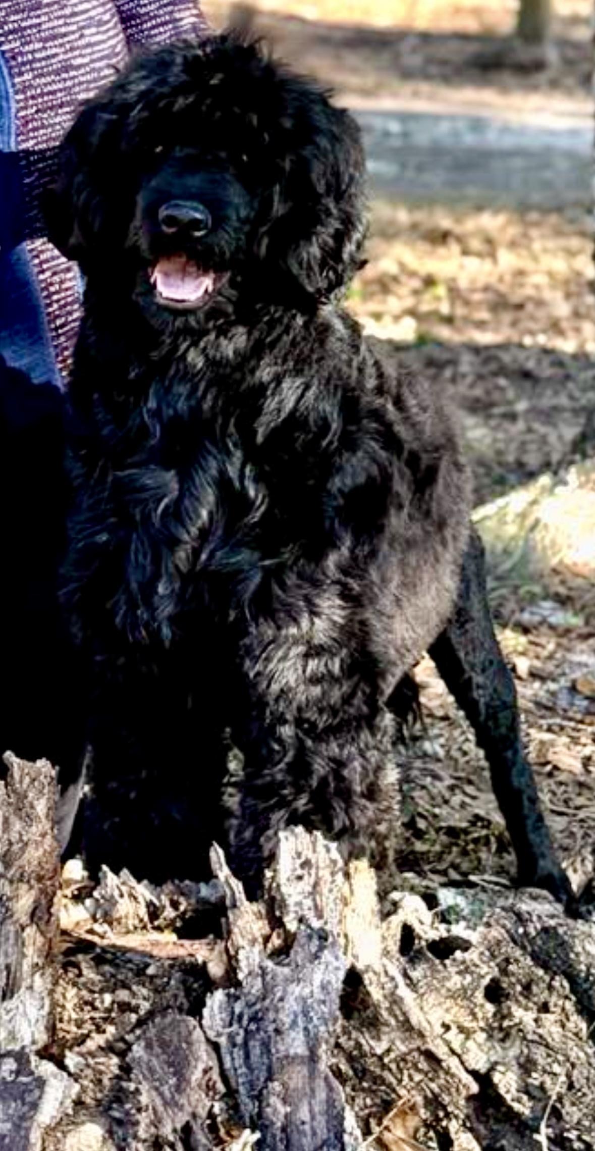 Filippa (Pippa)