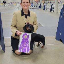 Dachshund All Grown Up from Woodshafen