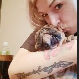 Bulldog Puppies from Dampier Bulldogs Mo