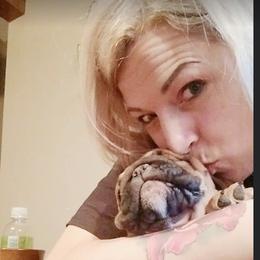 Bulldog Puppies from Dampier Bulldogs Mo