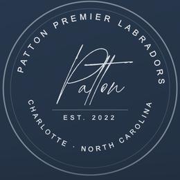 Peppa - Black female Labrador Retriever puppy in Charlotte, North Carolina from Patton Premier Labradors