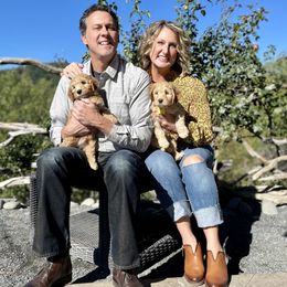 Australian Labradoodle Puppies from Starlight Ridge Australian Labradoodles