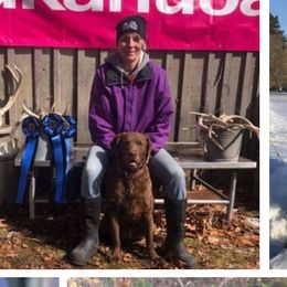 Chesapeake Bay Retrievers, German Shorthaired Pointers, and Yorkshire Terriers from Northern Odyssey Gun Dogs