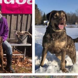Chesapeake Bay Retrievers, German Shorthaired Pointers, and Yorkshire Terriers from Northern Odyssey Gun Dogs