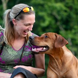 Rhodesian Ridgebacks from Evolution Rhodesian Ridgebacks