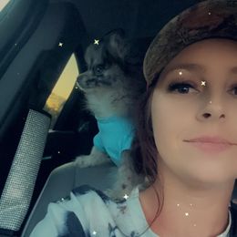 Chihuahua and Pomeranian Puppies from Cheyenne’s Pups