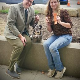 Cesky Terrier All Grown Up from Johnwicki Terriers