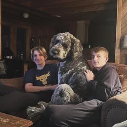 Labradoodle and Saint Berdoodle Puppies from ProAct Canines