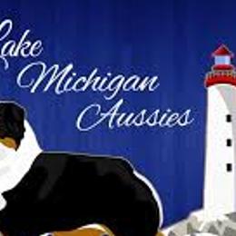 Australian Shepherds from Lk Michigan BIS Champion Aussies