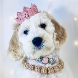 Goldendoodles from Castillo Bulldogs