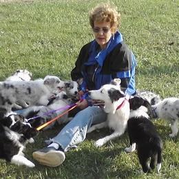 Border Collie Puppies from Rosann's Collies