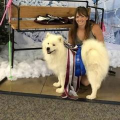 Balto - Samoyed