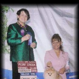 Pomeranians from TNT Pomeranians
