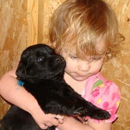 Newfoundland Puppies from Tonka Bay Newfoundlands