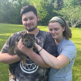 German Shepherd Puppies from Rammstein Kennels