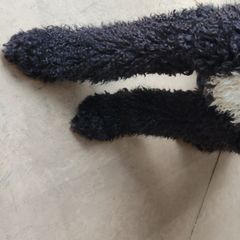 Hops - Double Doodle