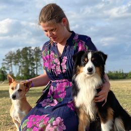 Miniature American Shepherds from SciFi Sport Dogs