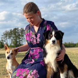 Miniature American Shepherds from SciFi Sport Dogs