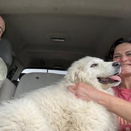 Great Pyrenees Puppies from Nemaha Valley Farms