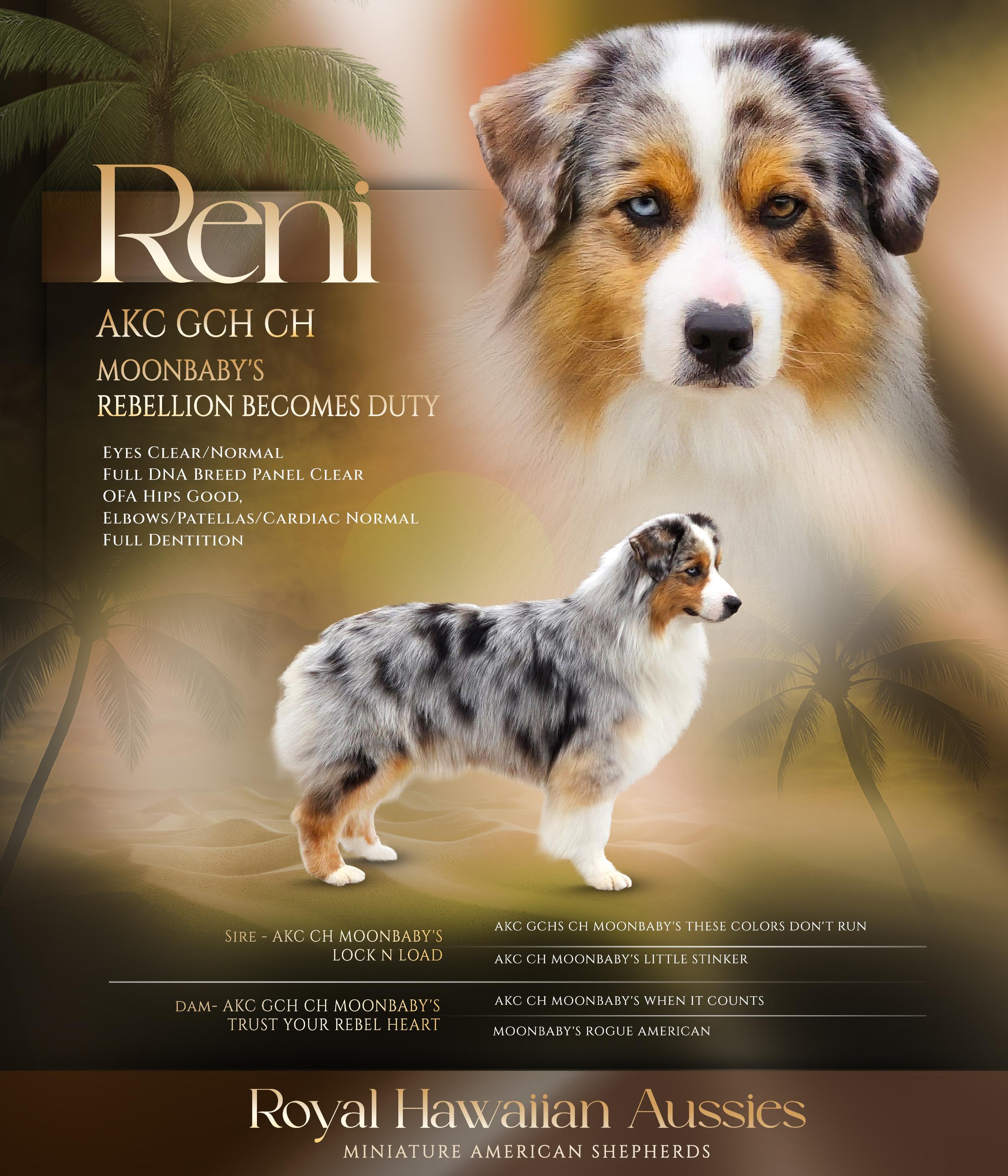 RENI