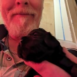 Cocker Spaniel Puppies from Pups in the vine cockers
