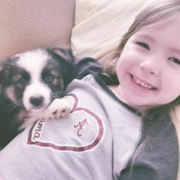 German Shepherd Puppies from Rain's Legacy German Shepherds