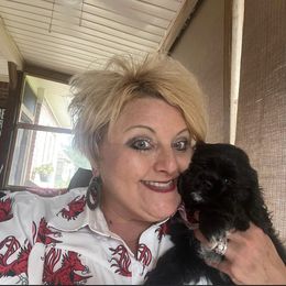 Cocker Spaniel Puppies from Hunt Crest Cockers