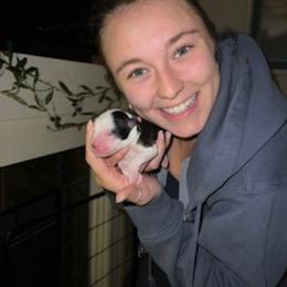 Miniature Australian Shepherd Puppies from Amberwood DD Aussies